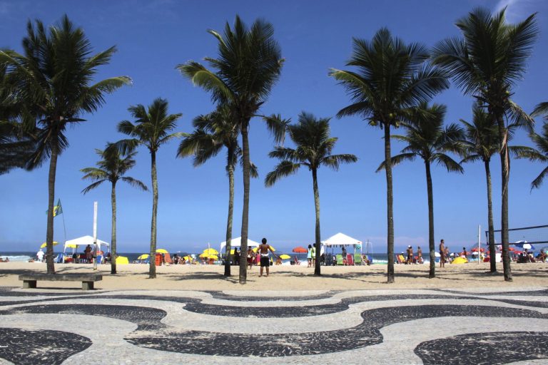 Palmen stehen vor einem Strand mit Sonnenschirmen und Liegen unter blauem Himmel.