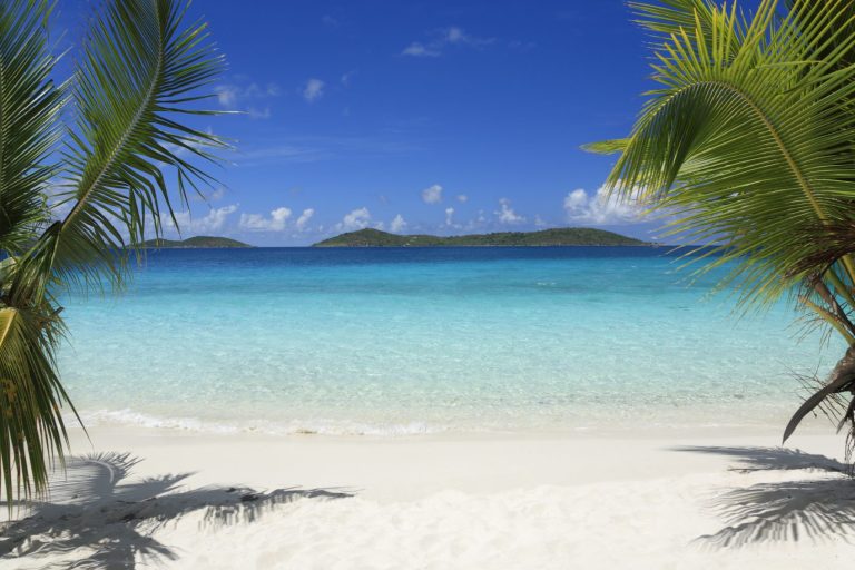 Tropischer Strand mit klarem Wasser, Palmen und blauen Himmel im Hintergrund.